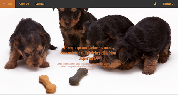 Kittens and Puppies